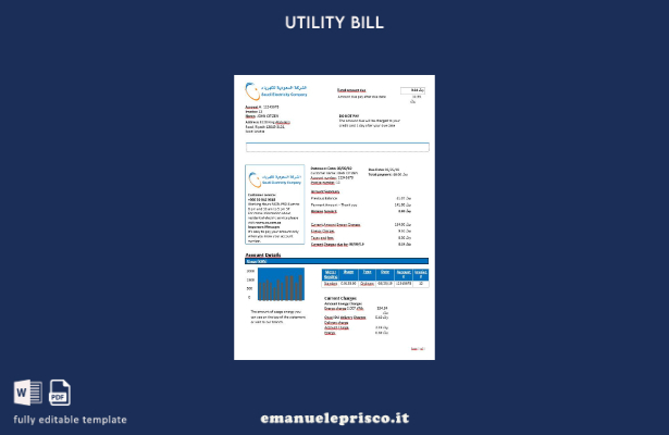 stile verificato Modello di bolletta elettrica della Saudi Electricity Company d